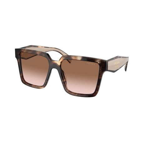 prada caramel tortoise sunglasses|Sonnenbrille Prada Eyewear PR24ZS 07R0A6 56.